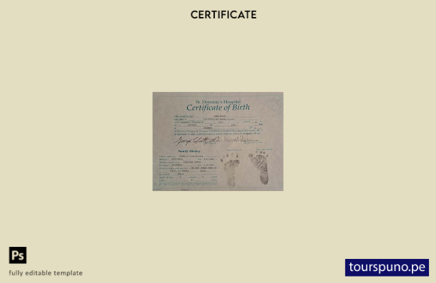 listo para imprimir plantilla de certificado de nacimiento del hospital St. Domi